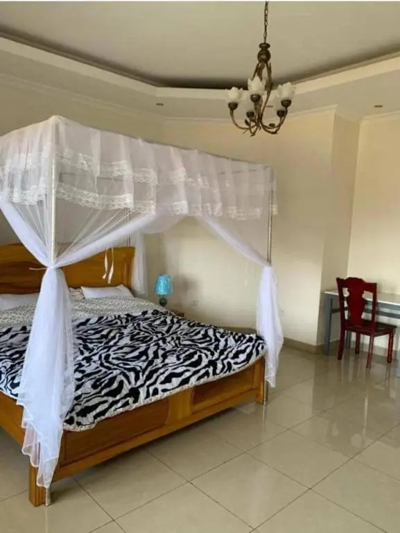 Standard Double room with mountain view (full double bed)