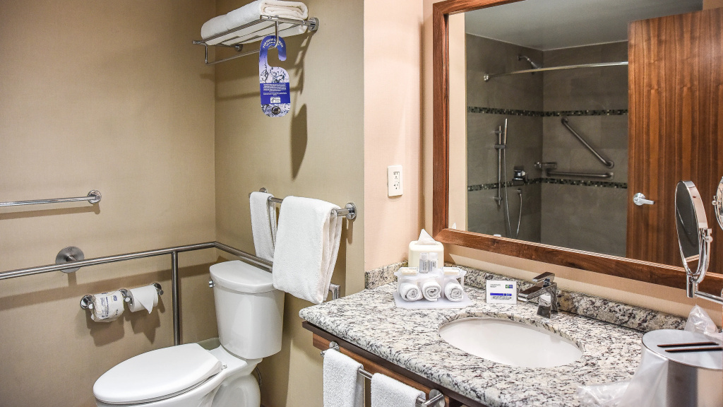 Holiday Inn Express & Suites Celaya by IHG - Général