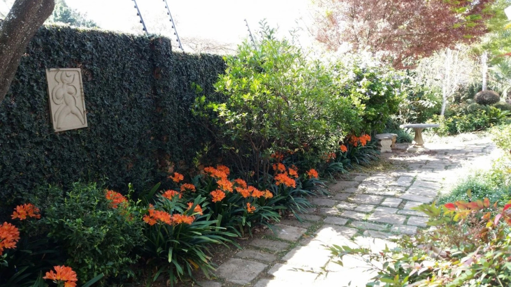 Royal Ridge Guest House - фото 8