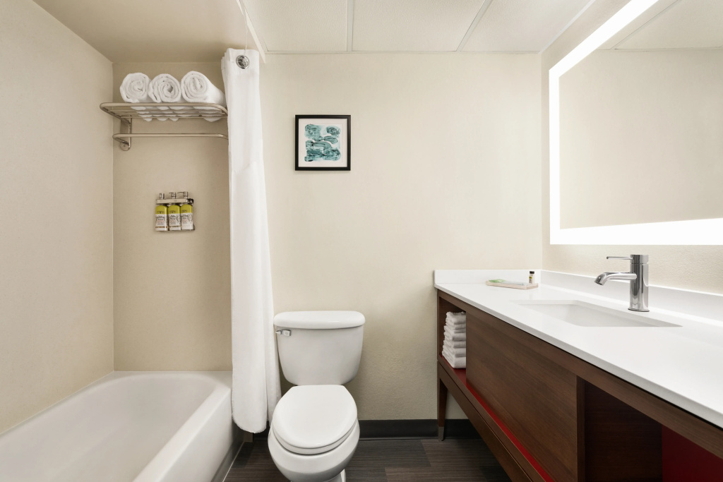 Holiday Inn Florence by IHG - Général