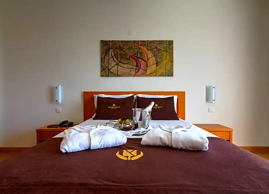 Tulip Inn Estarreja Hotel & Spa - Chambres