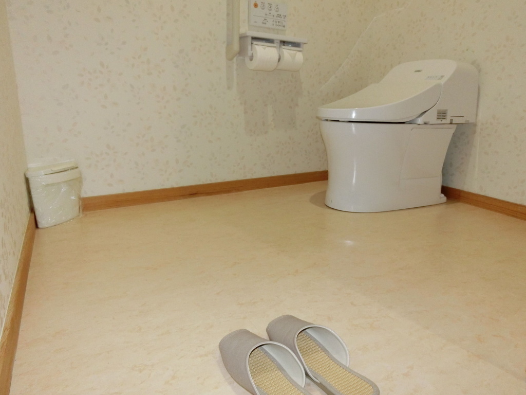 Kusatsu Skyland Hotel 사진 19