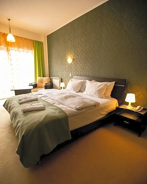 Standard room with mountain view