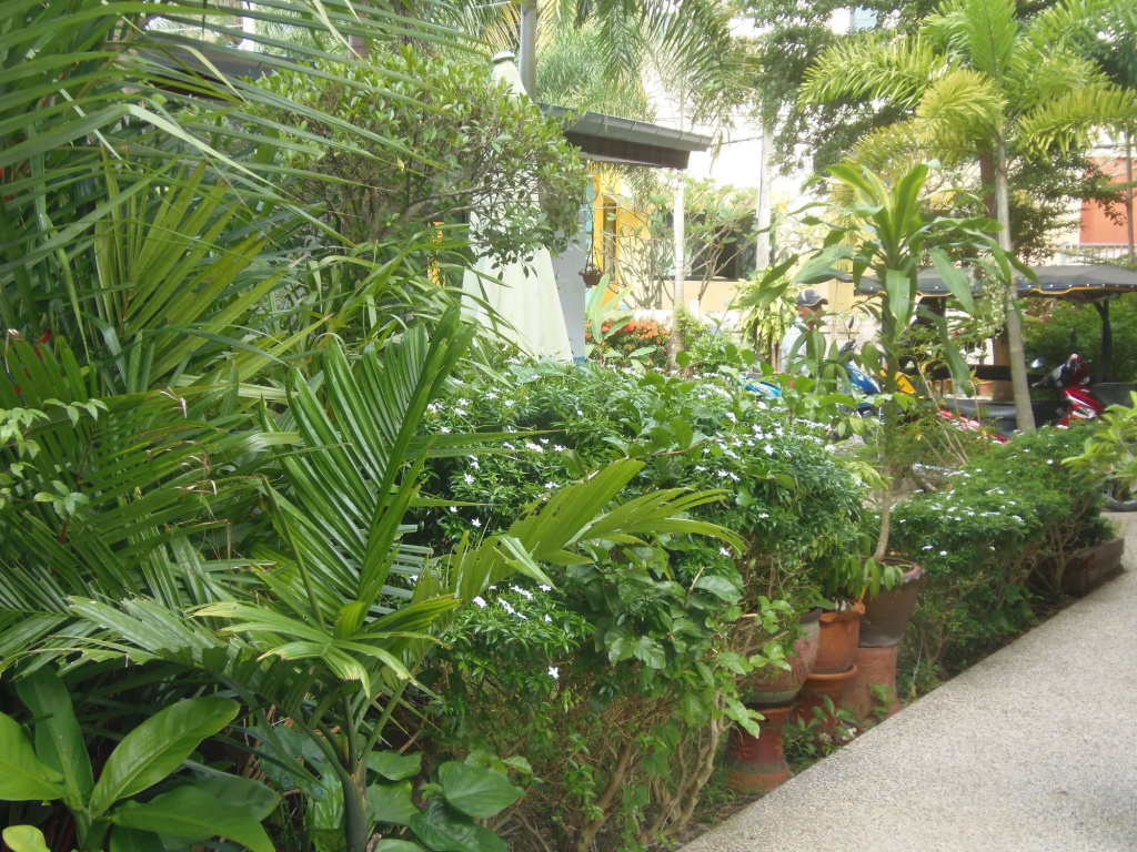 Hotel photo 26