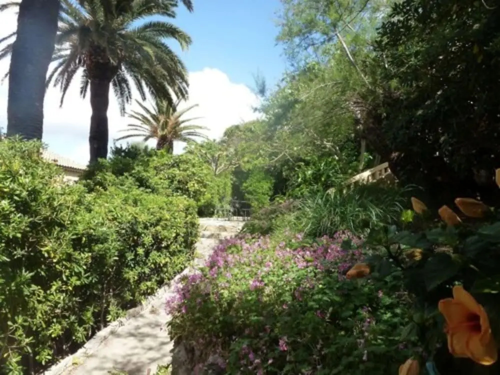 Hotel photo 26