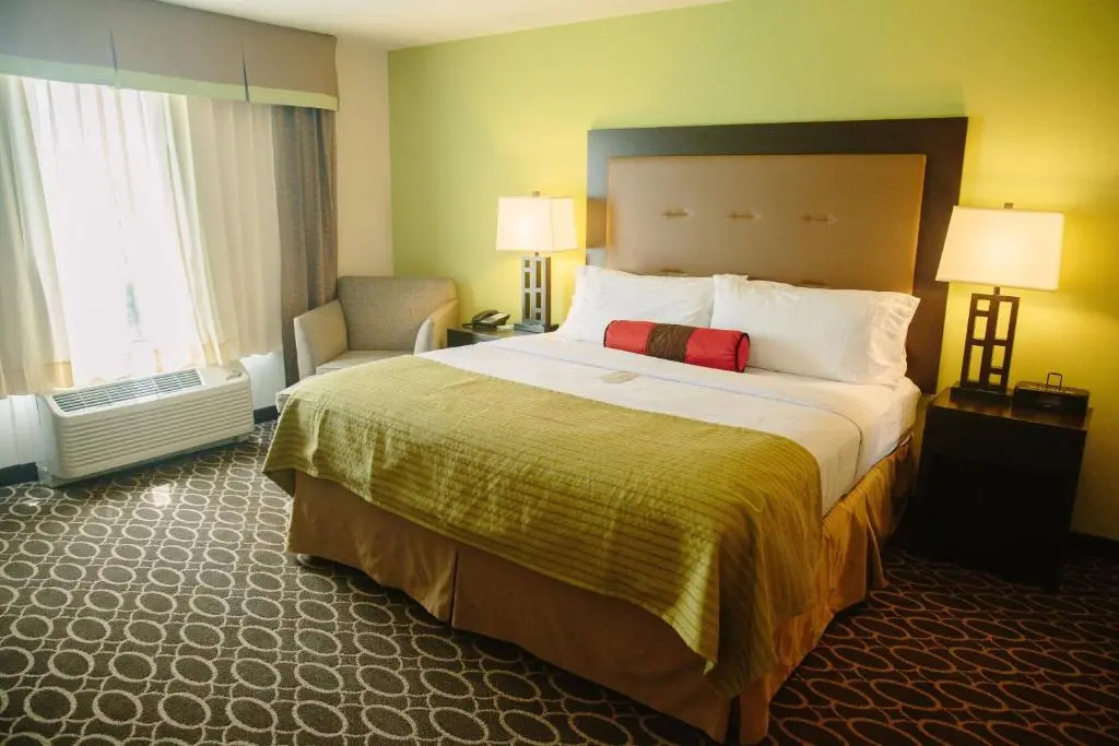Holiday Inn Murfreesboro by IHG - Chambres