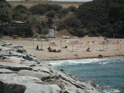 Beach & Waterfront