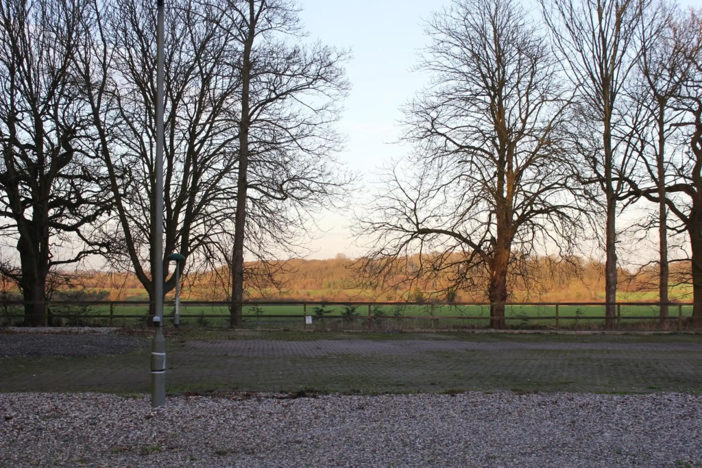 Image 36