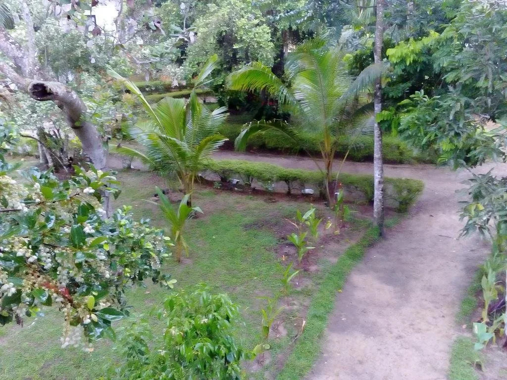 Riparian Rest - Général