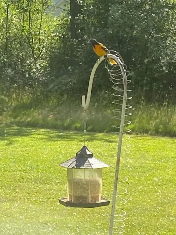 Hotel photo 47