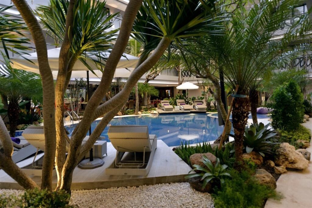 Amaroossa Suite