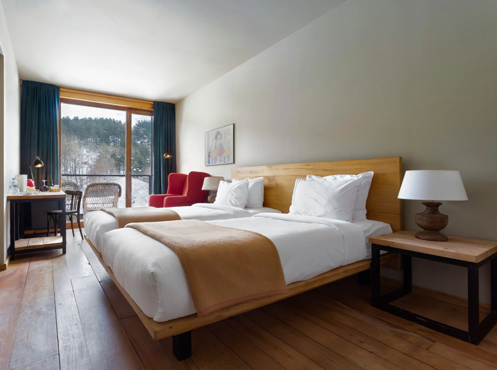 Standard Double room with forest view (twin beds)