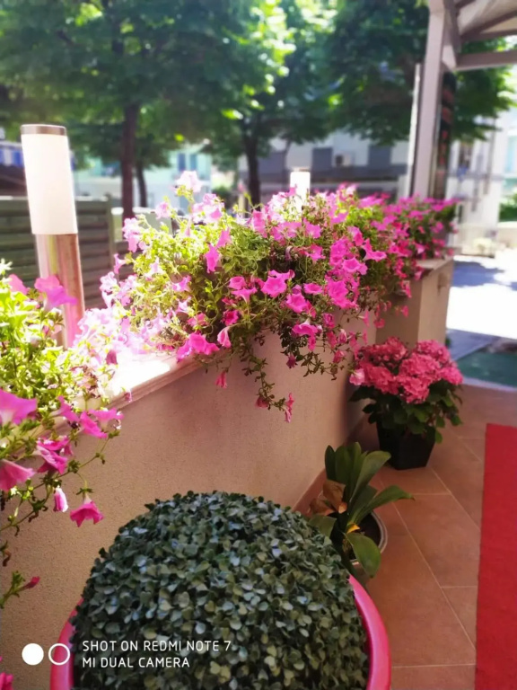 Hotel photo 36