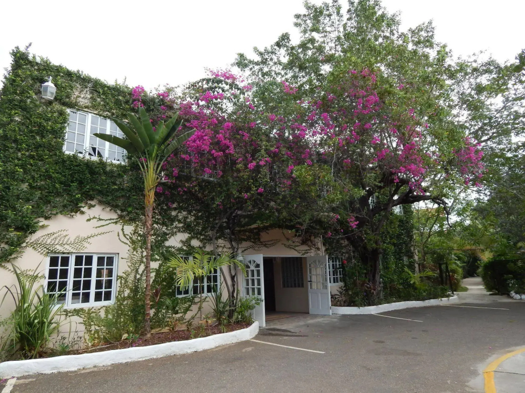 Mangos Boutique Beach Resort - Général
