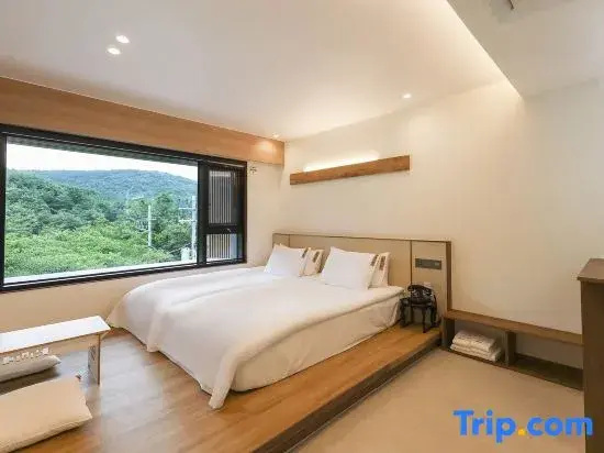 Deluxe Double room (twin beds)