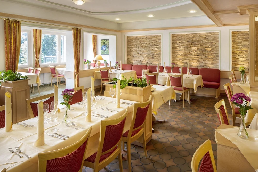Belchenhotel Jägerstüble - Général