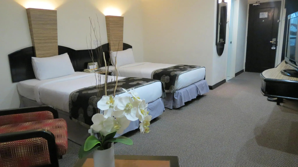 Superior Double room (twin beds)