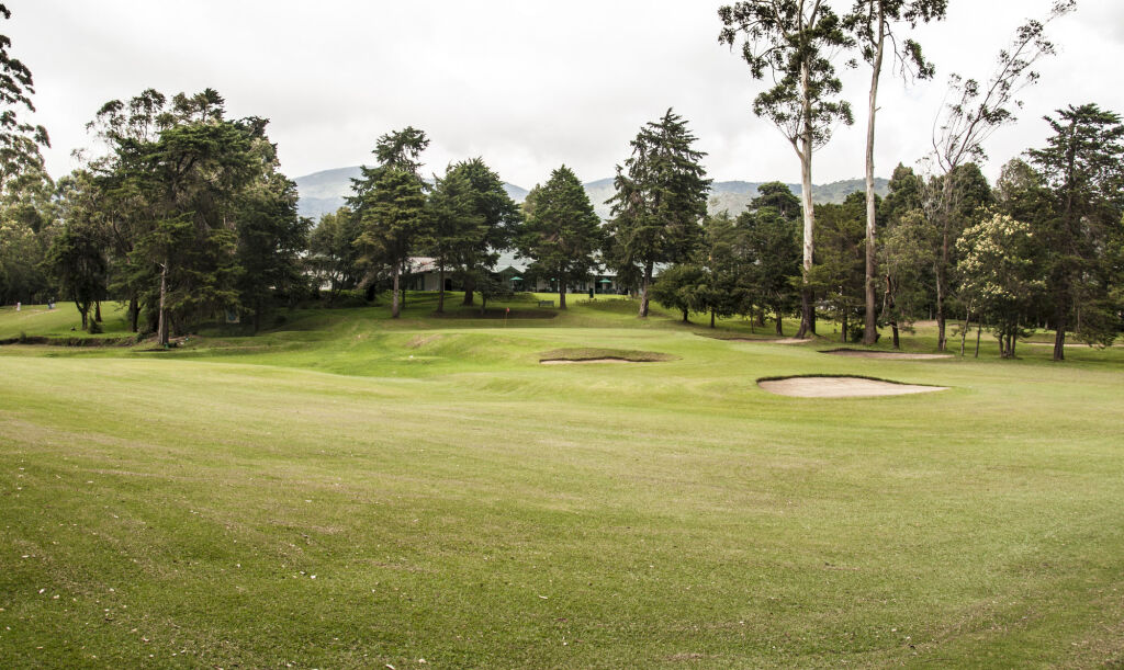 Oak Ray Summer Hill Breeze