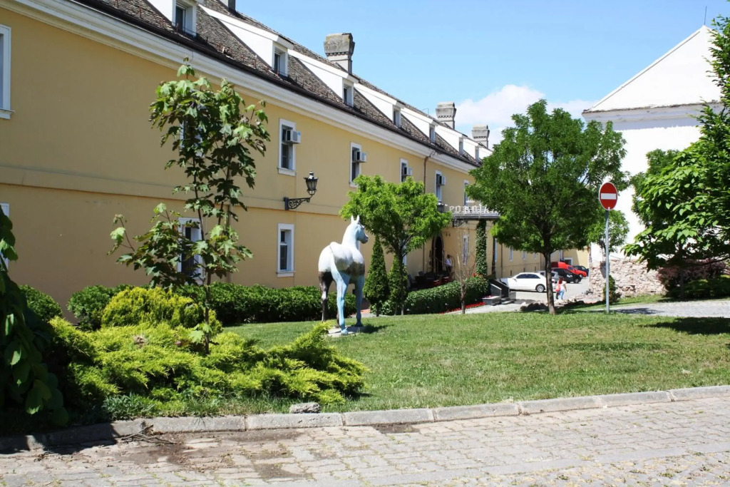 Image 19