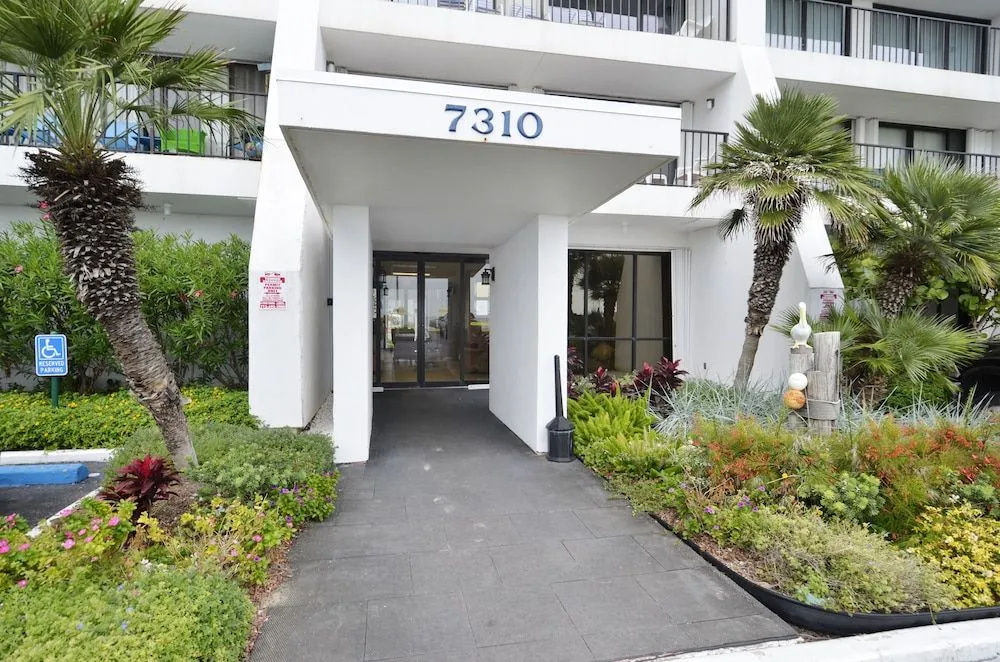 Panorama Palms