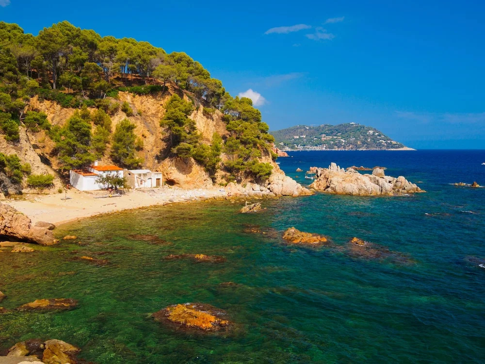 Beach & Waterfront