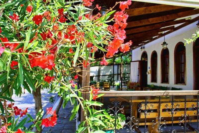 Hotel Theopisti