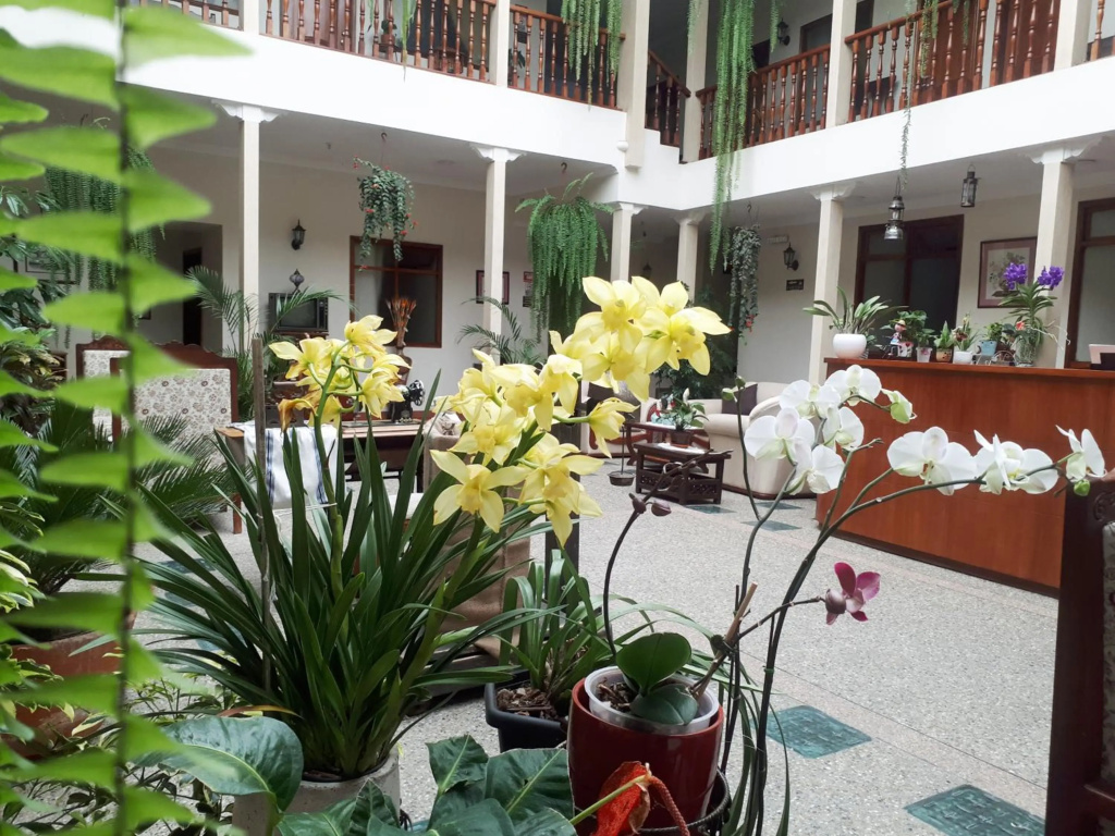 Hotel Casa Montero - Général