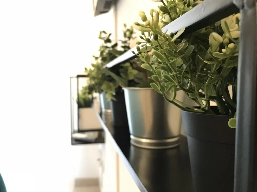 Balcony & Terrace
