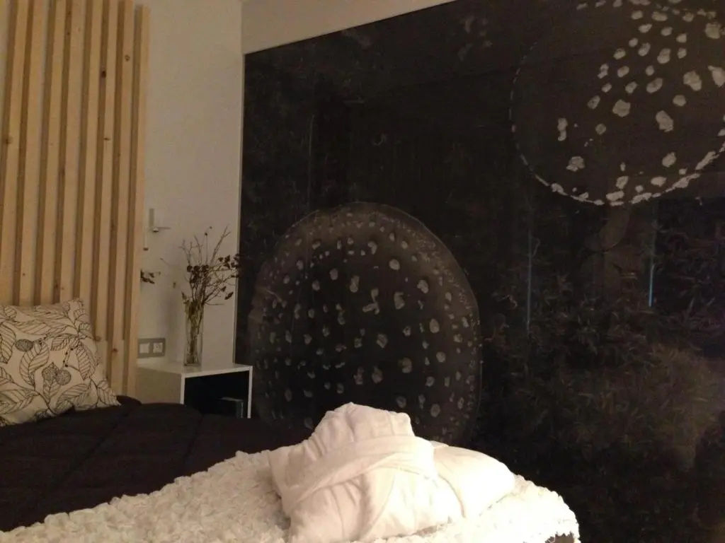 Hotel Terra Bonansa - Chambres