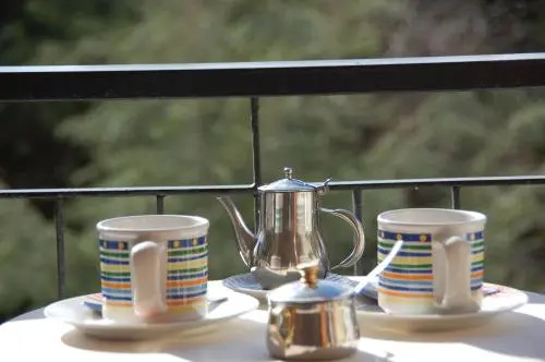 Balcony & Terrace