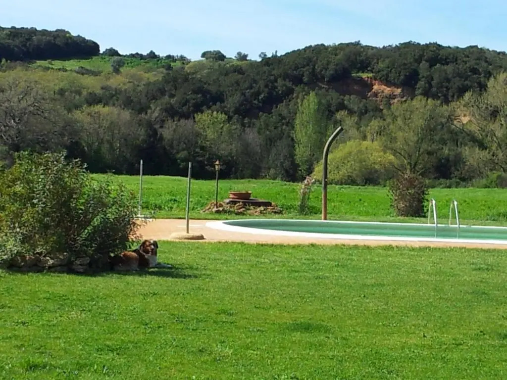 Agriturismo Sant Anna Quarter Horse