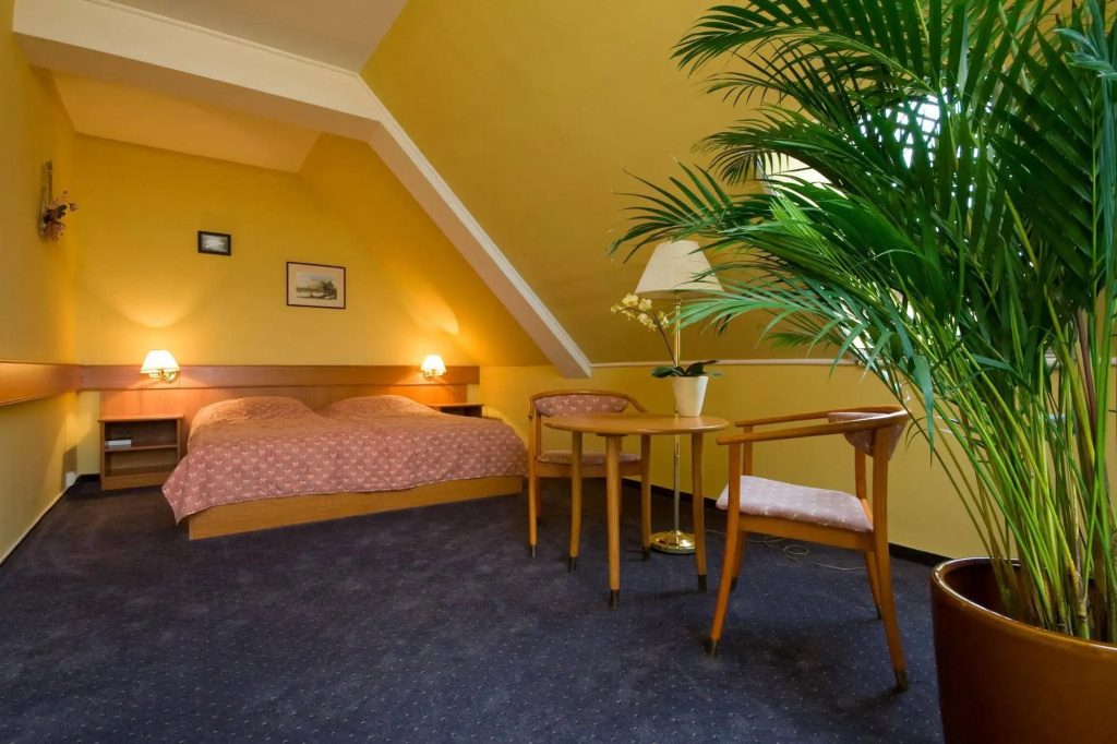 Thermal Hotel Superior - Général
