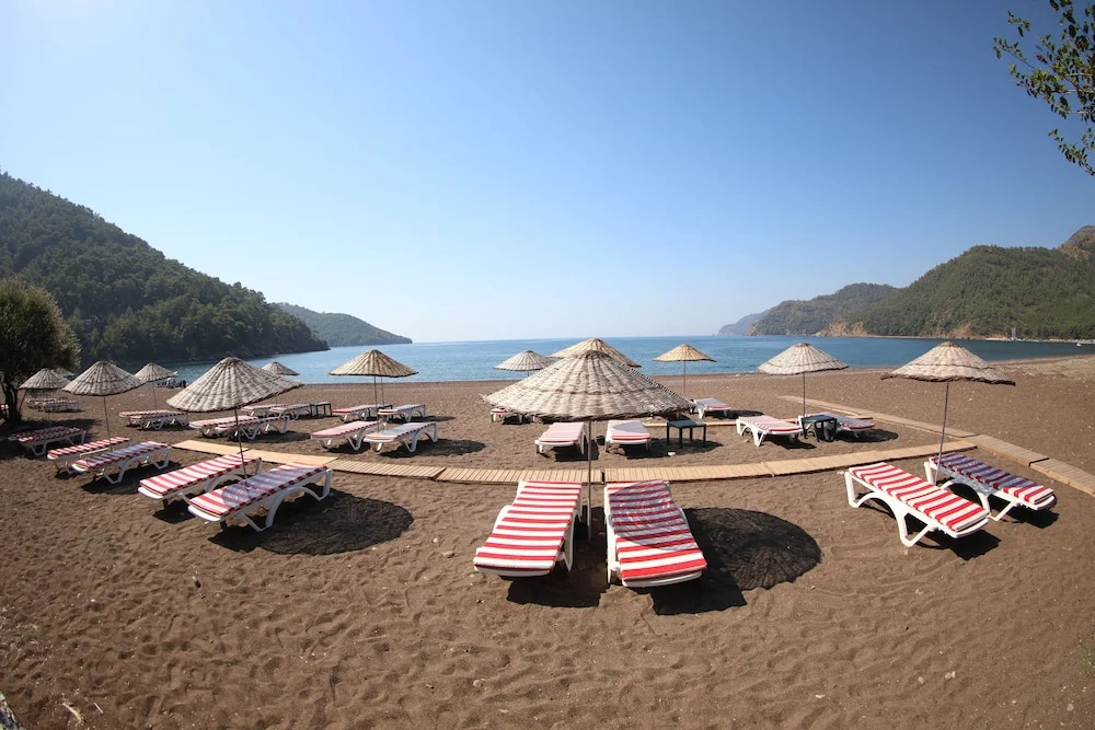 Beach & Waterfront