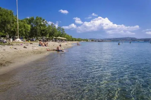 Beach & Waterfront