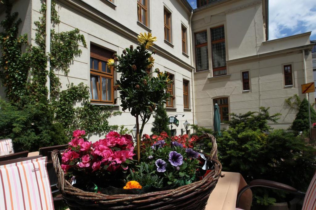 Image 22
