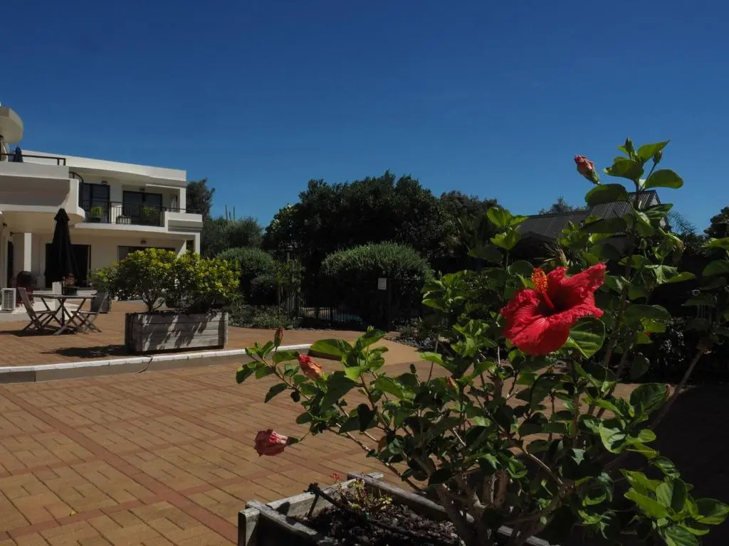 Ocean Breeze Resort - Chambres