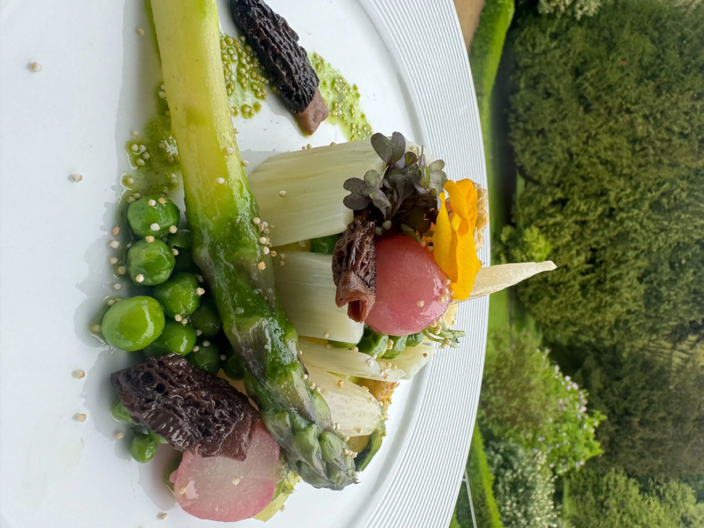 Hotel Bel Air Sport & Wellness - Général