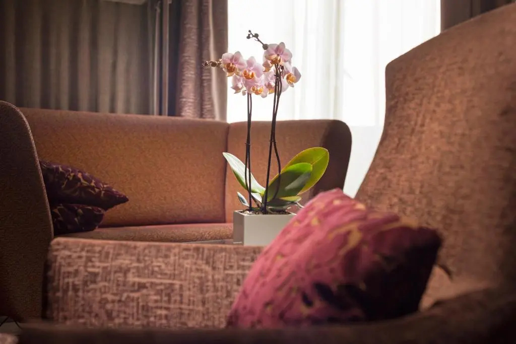 Jalta Boutique Hotel - Chambres