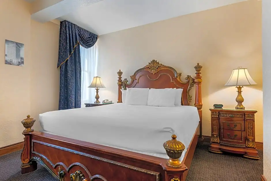 Hotel Flor Tampa Downtown, Tapestry Collection by Hilton - Chambres