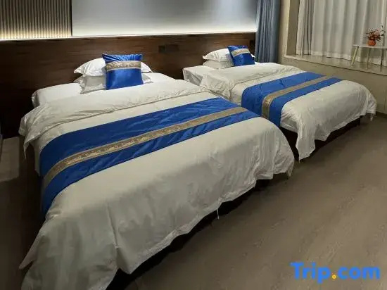Deluxe Double room (twin beds)
