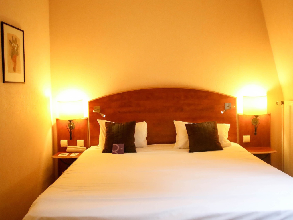 Mercure Saint Nectaire Spa & Bien-être Hotel - Général