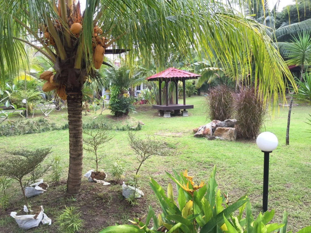 Hotel photo 50