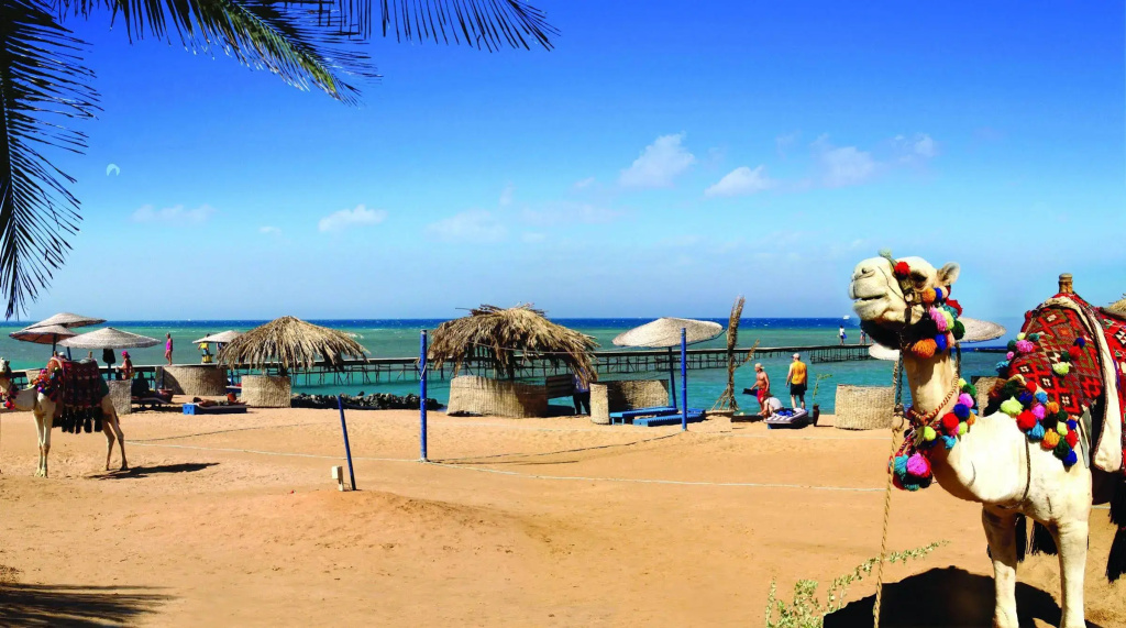 Dawar El Omda Hotel - Adult Only - Général