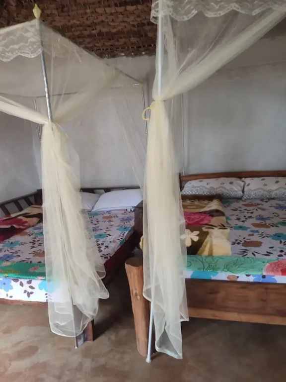 Standard Double Family room (full double bed)