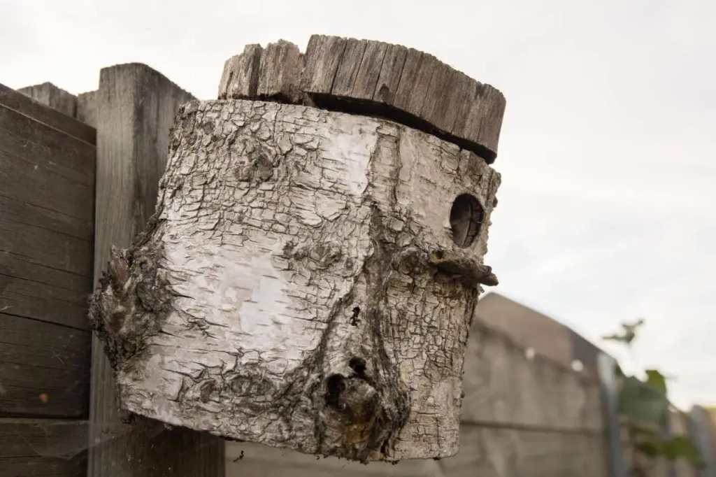 Villa Westhoek - фото 13