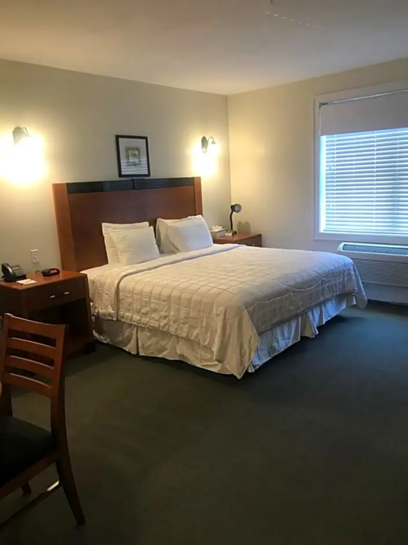 Double Studio (full double bed)