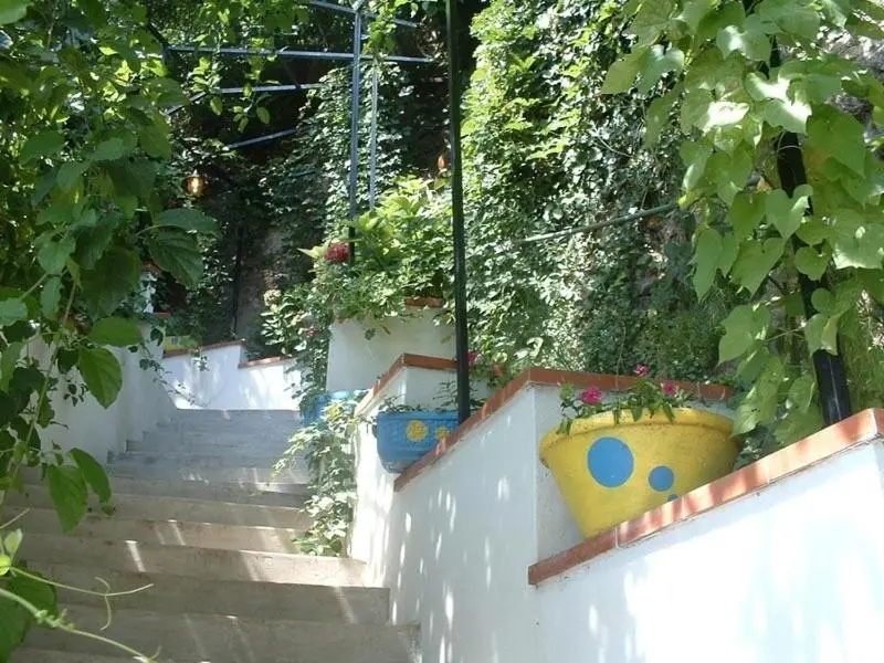 Il Giardino Dei Limoni
