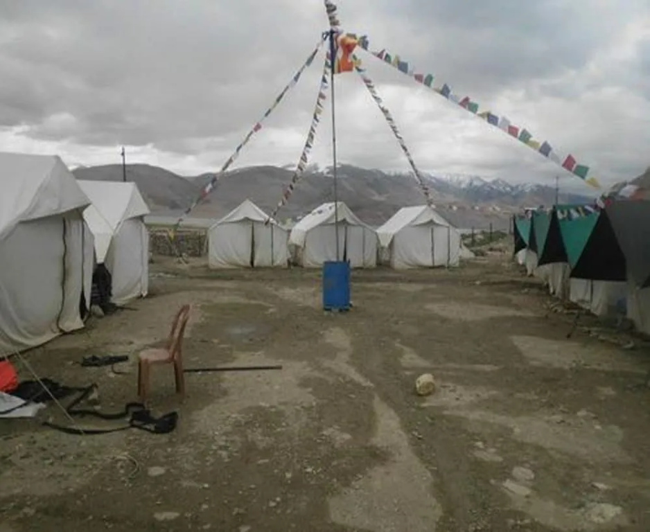 Golden Mark Camp