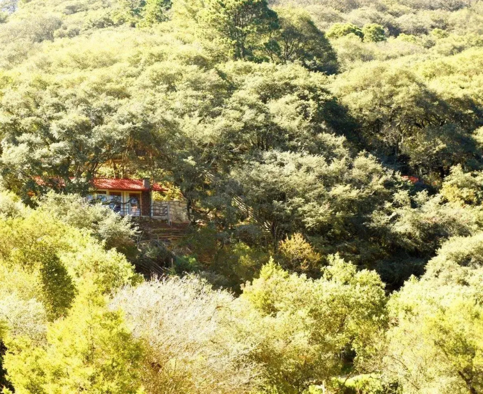Cabaña El Encino II en Real del Monte