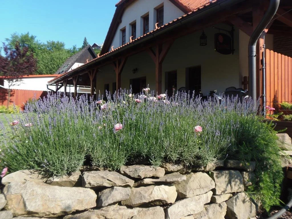 Penzion Rozmarýn - Général